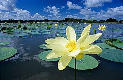 无限可能！《沉浮》抢先体验版首周销量破万！