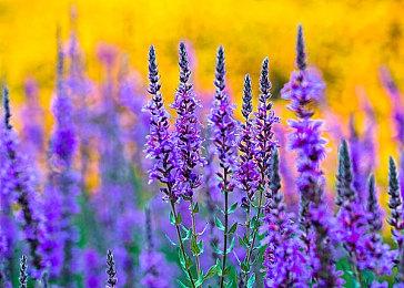 《装甲核心6》新多人战斗视频 展示1v1和3v3模式